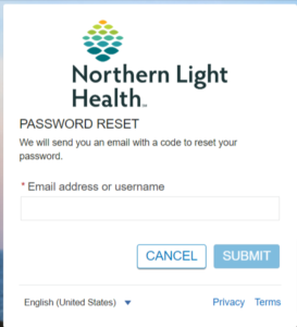 Northern Light Patient Portal Login Forget Passwords