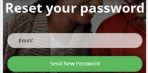 Bayless Patient Portal Login Forget Passwords