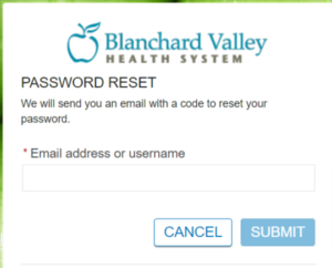 Forgot password of Blanchard Valley Patient Portal